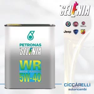 Olion Selenia WR 5W40